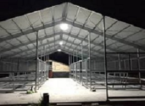 Shed LED